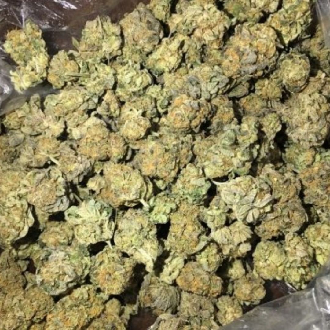 AlsonJones's tweet photo. #weedmaps #theweedtube #gasways #dcweedevents #pillsbury #weedporn #funny #stoner #stonermemes #smokeweedeveryday #weedlife #thc #dankmemes #meme #cannabisculture #weedgirls #maryjane #sativa #life #420memes https://t.co/6NxrheVVVX