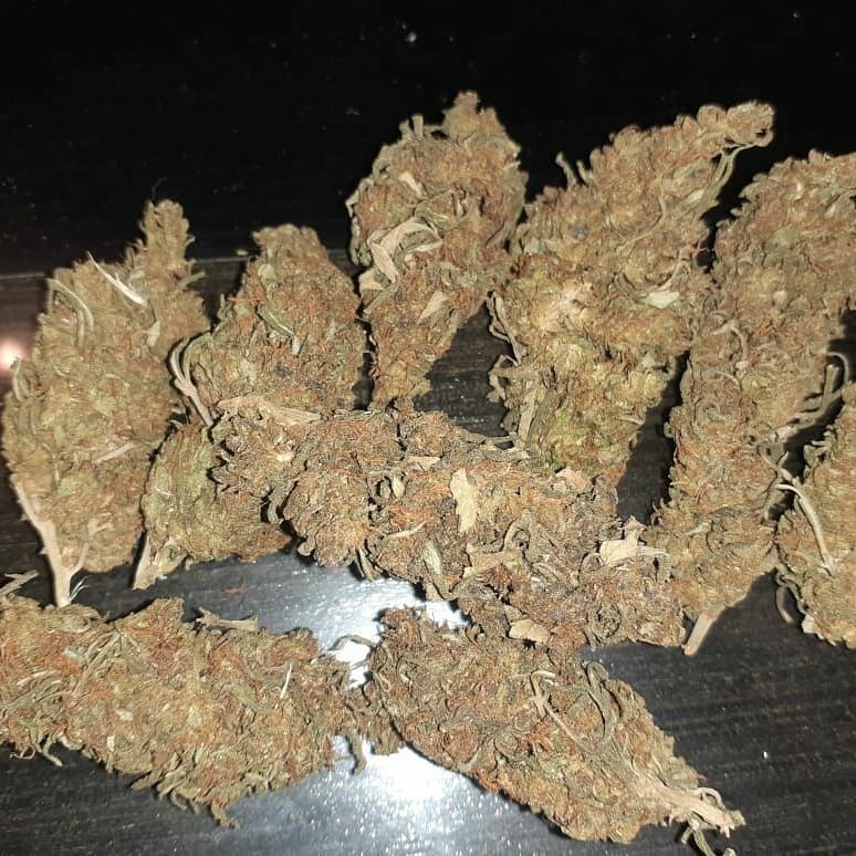 AlsonJones's tweet photo. #weedmaps #theweedtube #gasways #dcweedevents #pillsbury #weedporn #marijuananews #weedtweets #weedconnection.com #marijuanapolicyproject #medicalmarijuana #marijuanastokes  #dankmemes #meme #cannabisculture #weedgirls #maryjane #sativa #life #420memes https://t.co/GvQzeBC8Gt