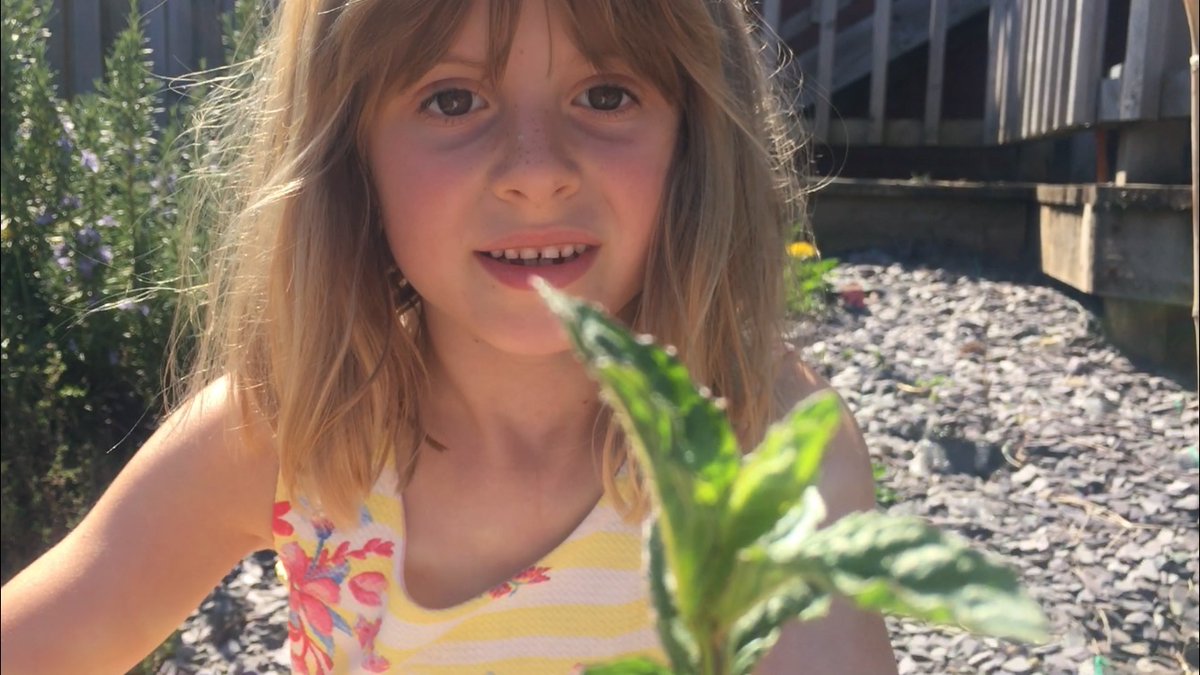 Ava has been busy making perfume in the garden. She used petals, grass, herbs and water and mixed them altogether. Could you make a perfume or aftershave at home? I challenge you! <a href="/FS2atFoxHill/">FS2 at Fox Hill</a>