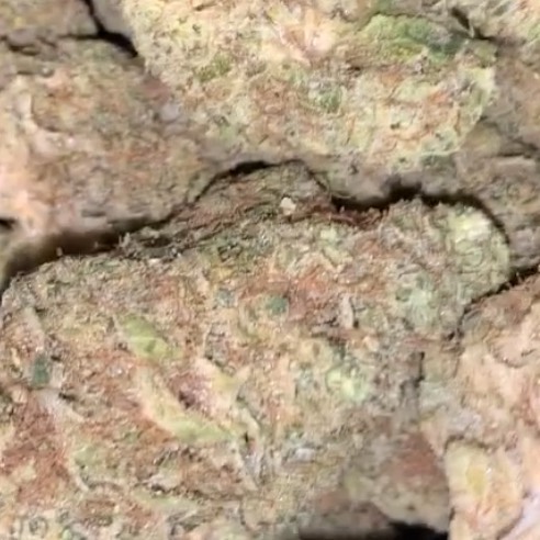 AlsonJones's tweet photo. #weedmaps #theweedtube #gasways #dcweedevents #pillsbury #weedporn #marijuananews  #stonermemes #smokeweedeveryday #weedlife #thc #dankmemes #meme #cannabisculture #weedgirls #maryjane #sativa #life #420memes https://t.co/EiTFF3IbwP