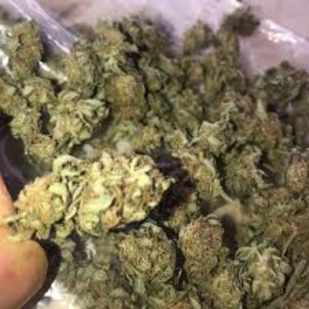 AlsonJones's tweet photo. #weedmaps #theweedtube #gasways #dcweedevents #pillsbury #weedporn #marijuananews #weedtweets  #stoner #stonermemes #smokeweedeveryday #weedlife #thc #dankmemes #meme #cannabisculture #weedgirls #maryjane #sativa #life #420memes https://t.co/Y3XKgRsMq0