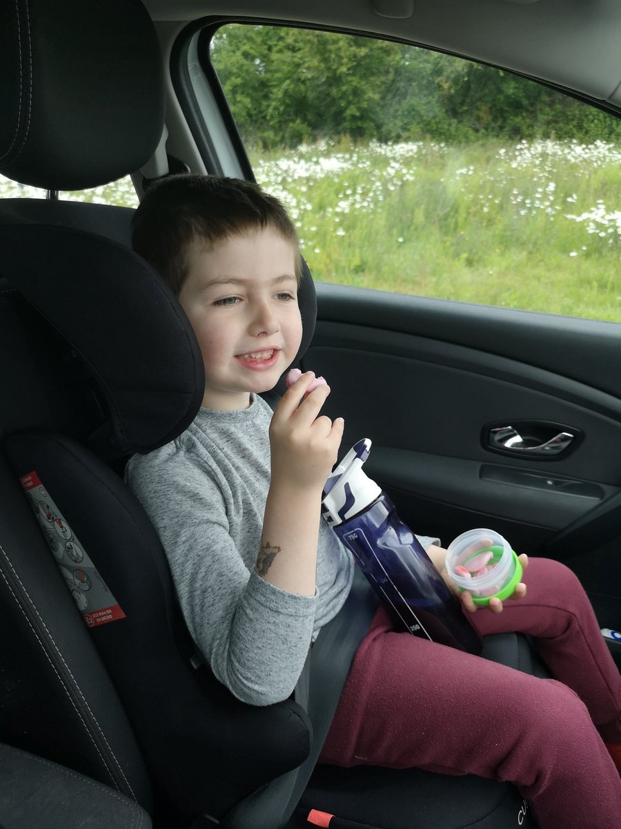 Just been through the drive through test centre with this one. He gave thumbs up to all the staff at the check points and wasn't phased by the PPE or the swab.💙
Thank you <a href="/HywelDdaHB/">Hywel Dda UHB</a> staff! #Covid_19 #keyworkerkid