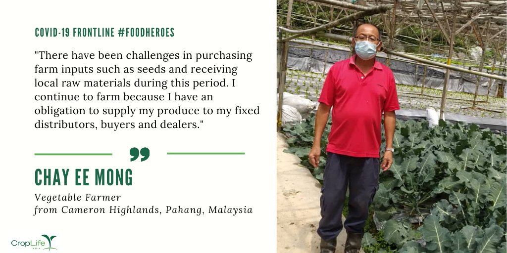 CropLifeAsia's tweet photo. Disruptions to the food supply chain have resulted in delayed supplies of seeds and critical raw materials that #farmers need to grow crops. 

#frontline #foodheroes #foodsecurity https://t.co/kT6dcllRRB
