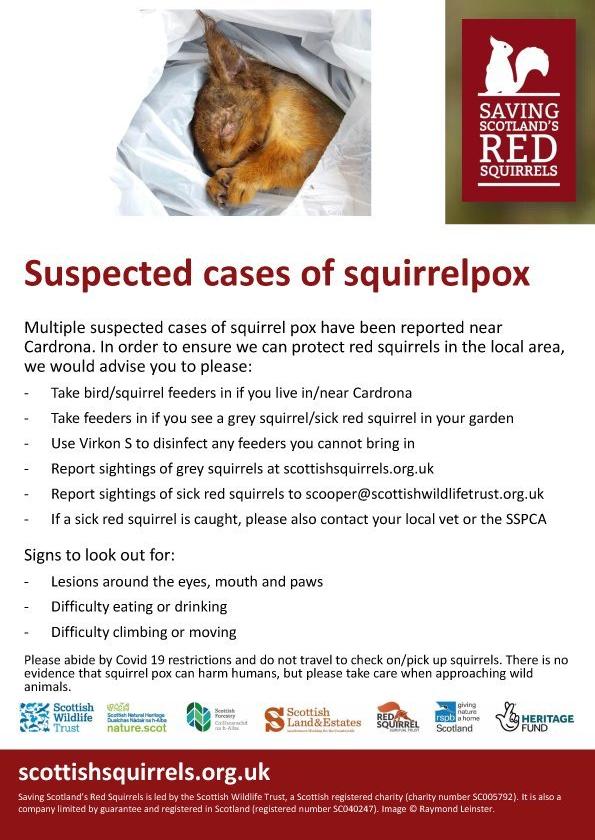 Residents in #Cardrona #Scotland are asked to take in #bird/squirrel feeders or disinfect them due to suspected #SQPV cases in #redsquirrels. Please report sightings of grey squirrels to <a href="/ScotSquirrels/">Saving Scotland's Red Squirrels</a> and sick reds to <a href="/ScotWildlife/">Scottish Wildlife Trust</a> using the information in the image. #wildlife