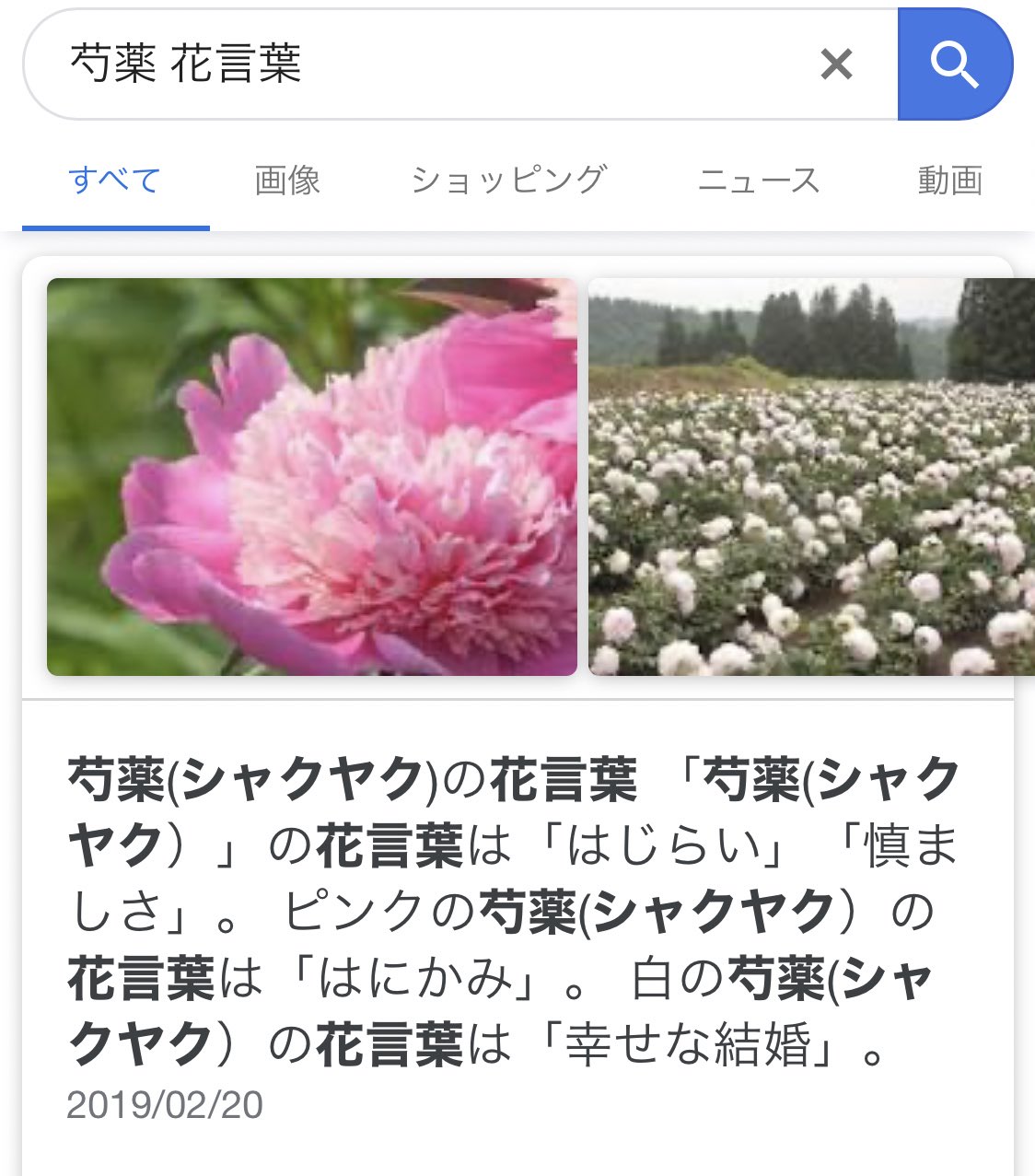 空峯沙唯 Sing Ribumaru4343 なんとwww W 流行ってんの Wいやいやまさかwww時期だからよねw ちなみに 後で白い芍薬の花言葉を調べたら りぶこさん もっと飾ろう ๑ ㅂ و Twitter