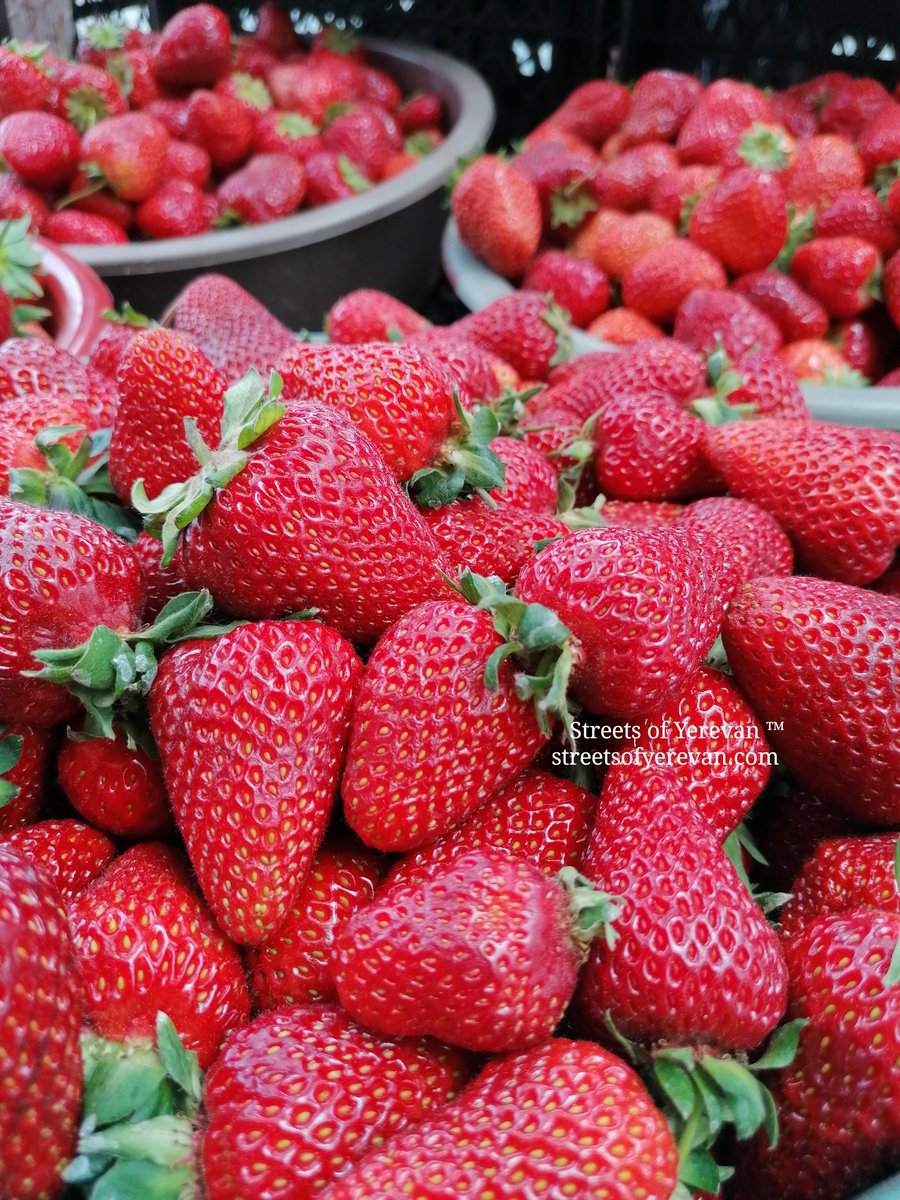 streetsofevn's tweet photo. Ա՜խ 🍓, հենց հիմա Երևանի փողոցներում։ ❤️
.
#Yerevan #Armenia #HuaweiP30Lite #StreetsofYerevan @armenia https://t.co/DExS0Do6kc