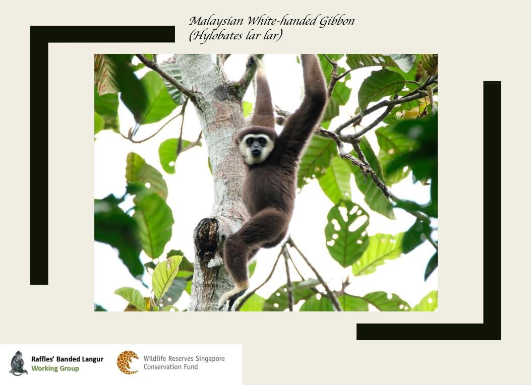 Andie Ang tweet media