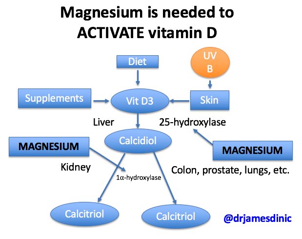 Interaction Of Drugs With Vitamin D Magnesium Vitamin B12 Selenium Etc Dec 2018 Vitamindwiki