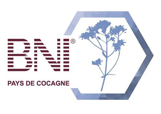 Ataldesign's tweet photo. Création du groupe BNI Pays de Cocagne.
Présentez votre activité professionnelle, diffuser vos coordonnées et découvrir une méthode reconnue pour un développement efficace de votre réseau pro.
Prochaine réunion visio le mercredi 20 mai de 7h30 à 9h.
https://t.co/5t8beBbzQf https://t.co/RQddVkS70H