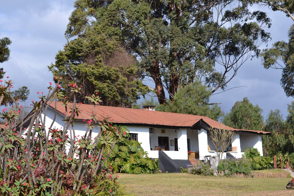 KStagerun's tweet image. After 4 days, relax under a hot shower, rest on a comfortable bed and enjoy the beautiful scenery before setting off again for 4 days on the low slopes of Kilimanjaro!