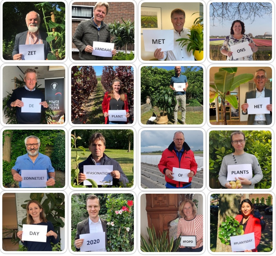 Zet vandaag met ons de plant in het zonnetje! #Fascination of Plants Day #FoPD #PlantsDay
<a href="/TopsectorTU/">Topsector TU</a> @GlastuinbouwNL <a href="/KAVB/">Kavb</a> <a href="/dickhylkema/">Dick Hylkema</a> <a href="/LTONederland/">LTO Nederland</a> <a href="/GFHuis/">GFHuis</a> @NefytoNL <a href="/BionextTweets/">Bionext</a>
<a href="/NFOfruit/">Nederlandse Fruittelers Organisatie</a> <a href="/NAV_AkkerBouwer/">🚜 NAV Akkerbouw Vakbond</a> <a href="/boakkerbouw/">BO Akkerbouw</a> <a href="/HollandBIO/">hollandbio</a> <a href="/VBNinfo/">VBN</a> <a href="/GreenportsNL/">Greenports Nederland</a>
