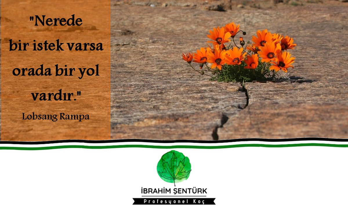 #profesyonelkocibrahimsenturk #motivasyon #eğitimkoçu #hedef #zamanyönetimi