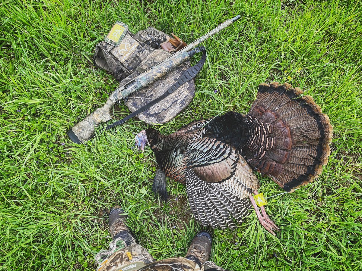 NateHosie's tweet image. Awesome morning in the Pennsy turkey woods! #TagPunched #Struttin #TurkeyBeFloppin 🦃🇺🇸