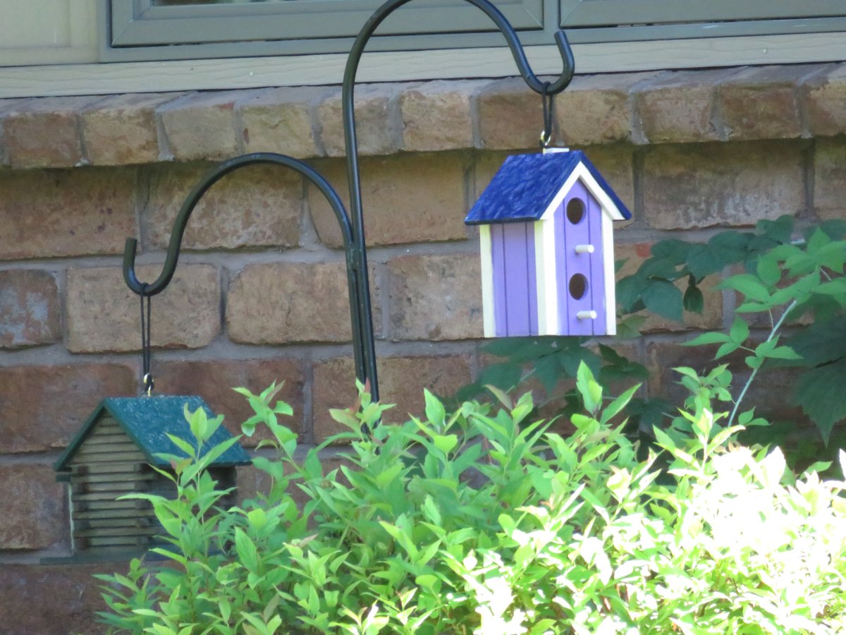 PLKlein_Author's tweet photo. "Never try to fix a child's boredom ... rather, let the child find his or her inner resources." ~ #JuliaCameron #ThinkingOutLoud #QuickQuotes #MondayMoment #MondayThoughts #MondayMotivation #Child #Boredom #InnerResources https://t.co/ETbEm5DkQc