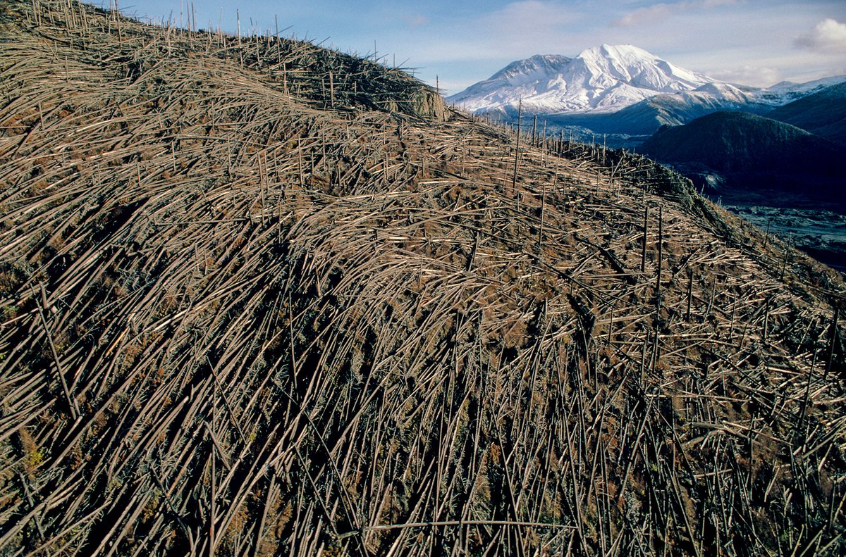 Weyerhaeuser's tweet photo. Forty years ago today, at 8:32 a.m., the eruption of Mount St. Helens forever changed the state of Washington. The volcano’s north face exploded with the force of several atomic bombs, and the shock of that morning remains fresh in the memories of anyone who experienced it. https://t.co/rV2qGONp9d