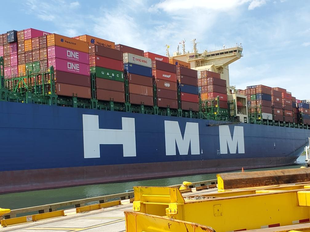 HMM America tweet media