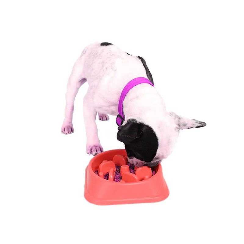 bunbun_hunny's tweet photo. 🇨🇱🐩@upetscl Ahora en la Tienda UPETSCl el novedoso "PLATO ANTI-ESTRES/ANTI-ANSIEDAD COMIDA MASCOTA ROSA" en Las Condes 7026 Local 2.
Revisa nuestra web 👉
https://t.co/AQrdDFToXF
#AutopiZta #BuenLunes #FelizLunes
#CuarentenaSantiago
#JungkookWeLoveYou
#cuarentenaSantiago https://t.co/o90AvtYFZ9