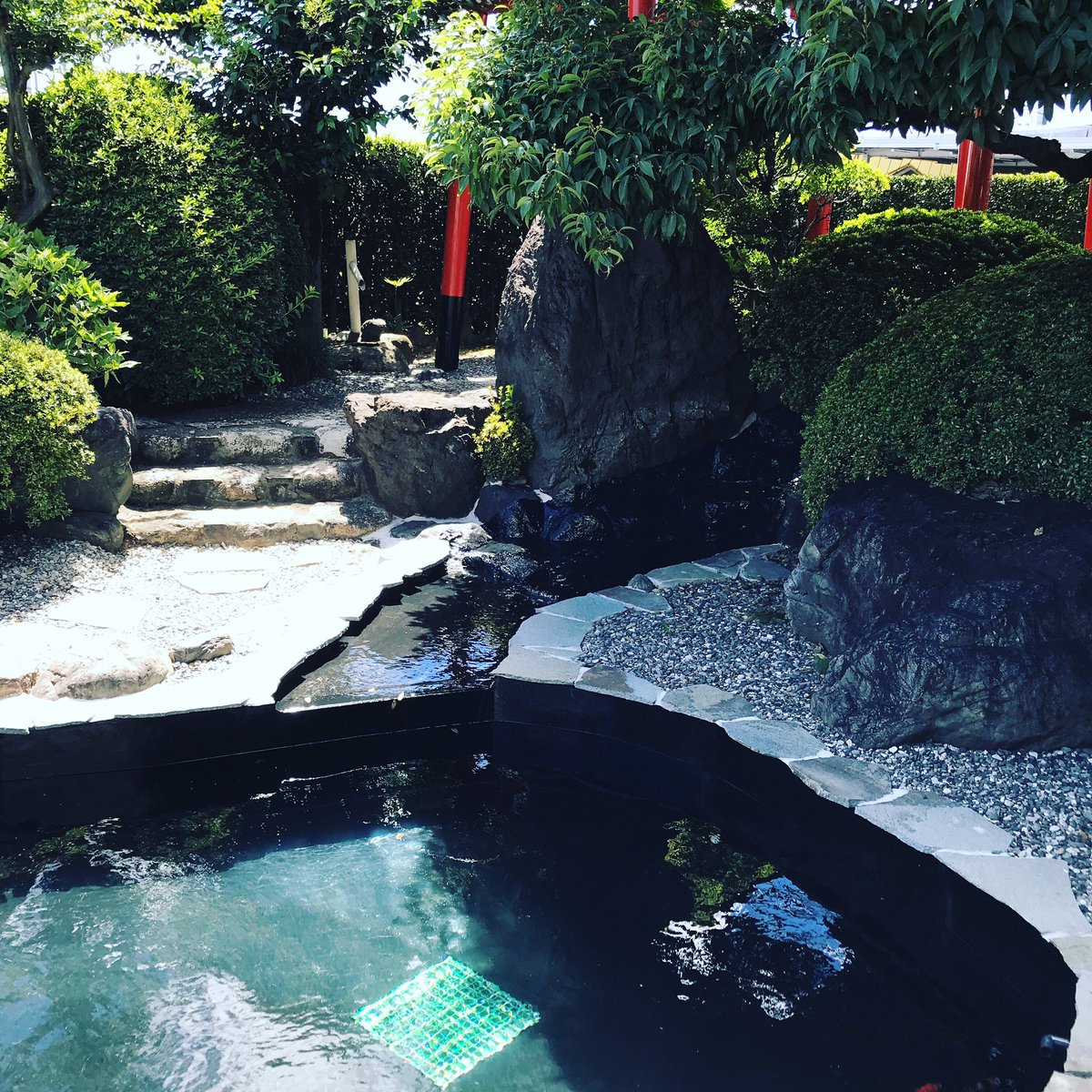 木々に囲まれ水の音と。
#愛知#鯉池#鯉#藤井建設