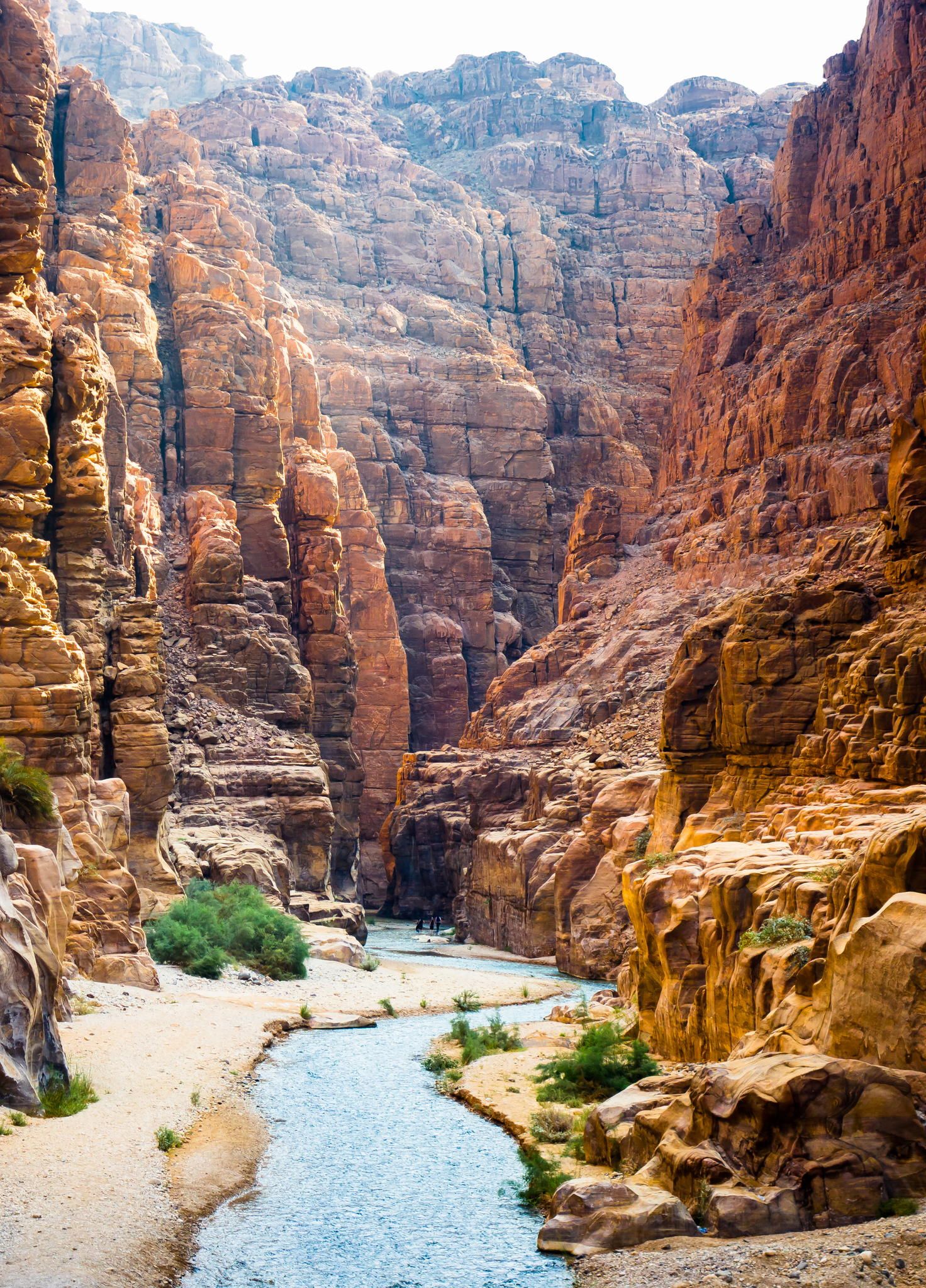 of Jordan US on Twitter: "The Mujib Nature Reserve, spanning 220 square kilometers, is considered the lowest nature reserve in the world. The reserve enjoys tremendous biodiversity, of 300 species