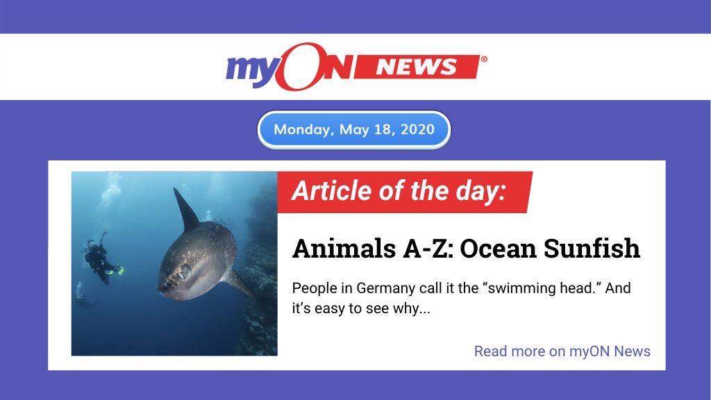 RenLearnUK's tweet photo. How much do you know about the heaviest bony fish in the world? If you're anything like us 10 minutes ago, probably not very much. Luckily, myON News is here to help! Read all about the ocean sunfish on our free child-friendly news site at https://t.co/lqQHrISWMP 🐟 https://t.co/shAubDc0po
