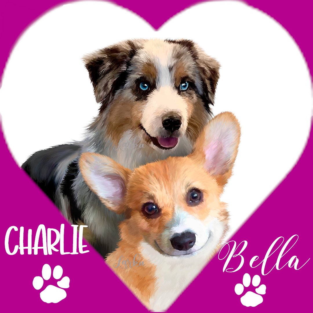 💕Meet the Jet City's Cutest New Couple -- Introducing Charlie and Bella!💕
Loves Billionaires and Dogs--A Feel-Good Romantic Comedy (Read FREE in KU)
Amazon: amzn.to/2LsWMDf