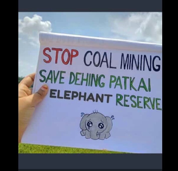 #SaveDehingPatkai
#SaveAmazoneofEast
#IAmDehingPatkai
#StopCoalMiningProject
#SaveNature