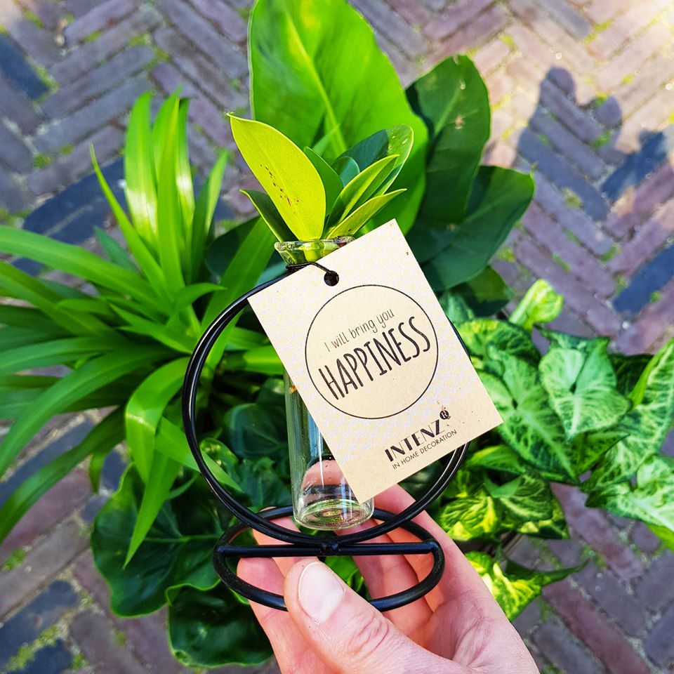 Hortus Leiden tweet media