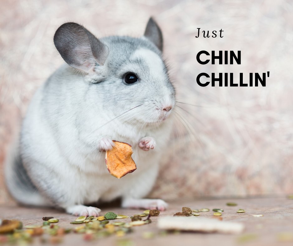 CustomMech's tweet image. That moment when you stop and realize how comfortable your indoor air is. #MondayPunday bit.ly/2UnaQRB