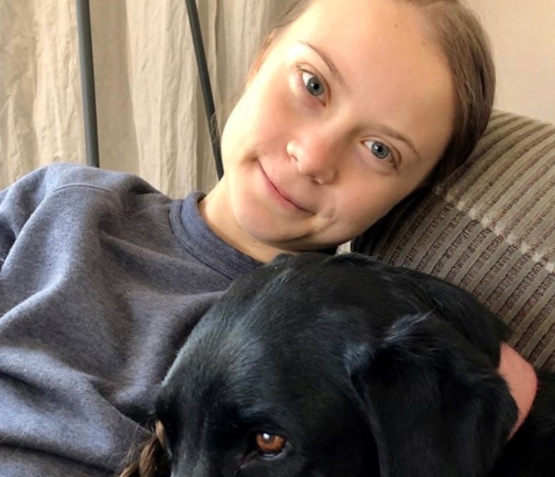 Month Day Year tweet media