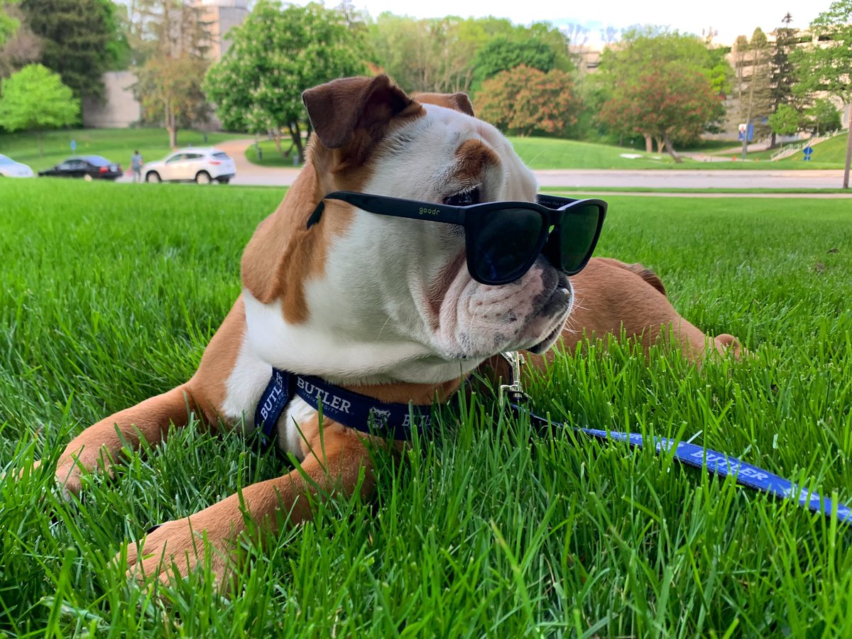 Sometimes all you need is a new perspective 😎
#GoDawgs 🐶 | #MotivationMonday