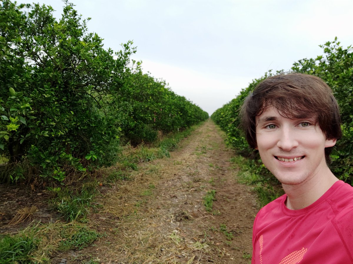 antonio_microUF's tweet photo. Finally out in the field! Really looking forward to seeing how our #citrus #covercrop trials progress this #summer. Some of the cover crops that were seeded last Friday are already germinating! #gocovercrops #gpsoilmicrobes #soilhealth #Strausslab #SWFREC https://t.co/NRVauzTeA5
