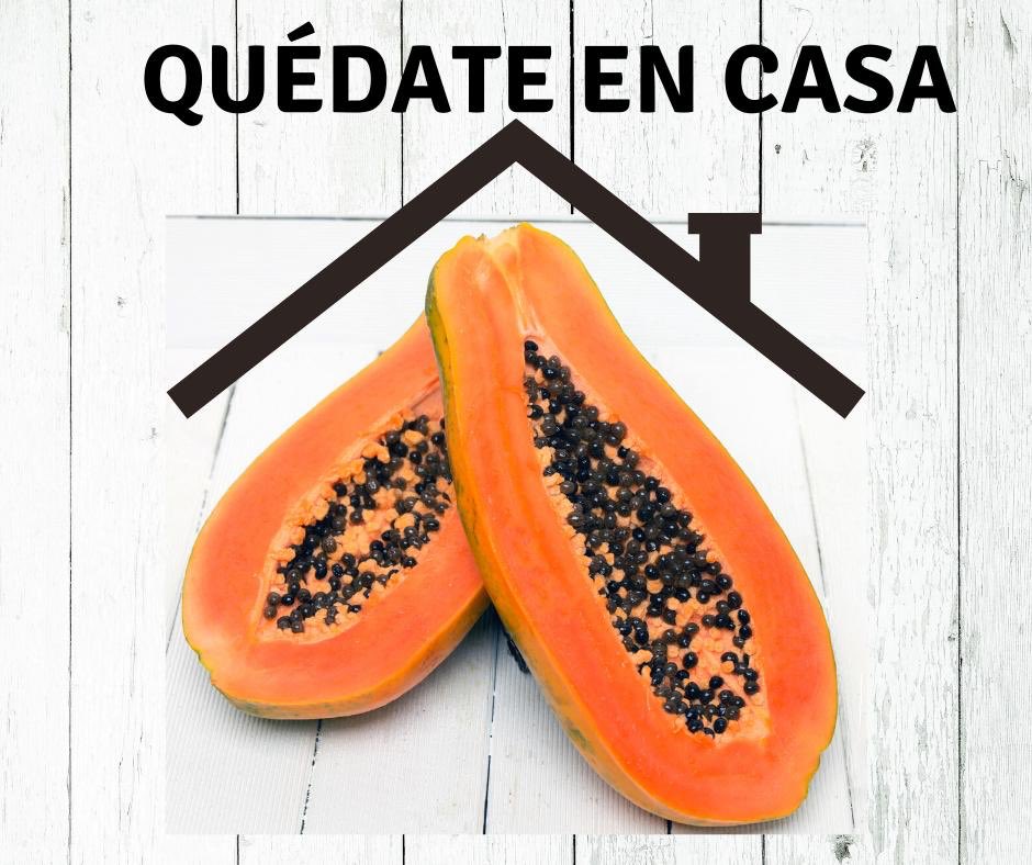 coepapaya's tweet photo. #FelizLunes Gran inicio de semana continuemos implementando la #SanaDistancia y #QuedateEnCasa pronto saldremos adelante juntos. Aliméntate sanamente y come #Papaya protégete del #Coronavirus dandole a tu cuerpo la #vitaminaC que necesita #Covid https://t.co/Erz27uOQNR