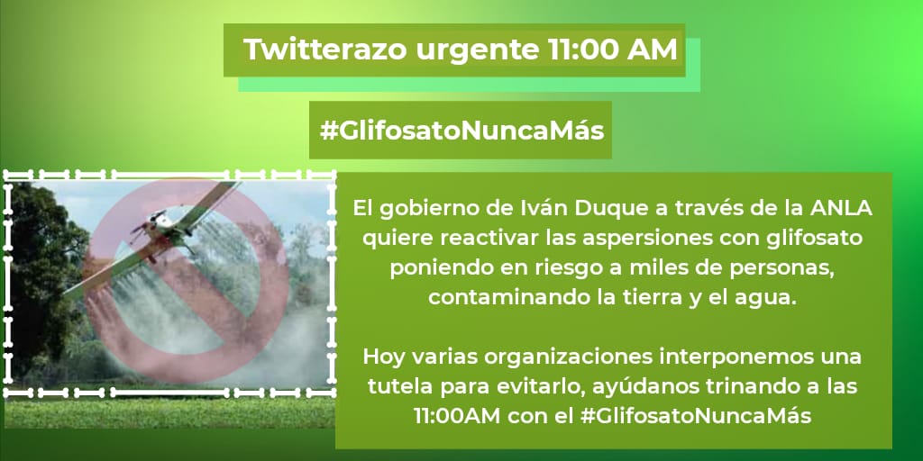 Ccajar's tweet photo. Inicia nuestra twitteraton para apoyar la tutela suscrita por más de 93 organizaciones que busca proteger los derechos de 114 municipios donde el gobierno de @IvanDuque desea volver a llevar las aspersiones con glifosato #GlifosatoNuncaMás https://t.co/lzyW6Td11e