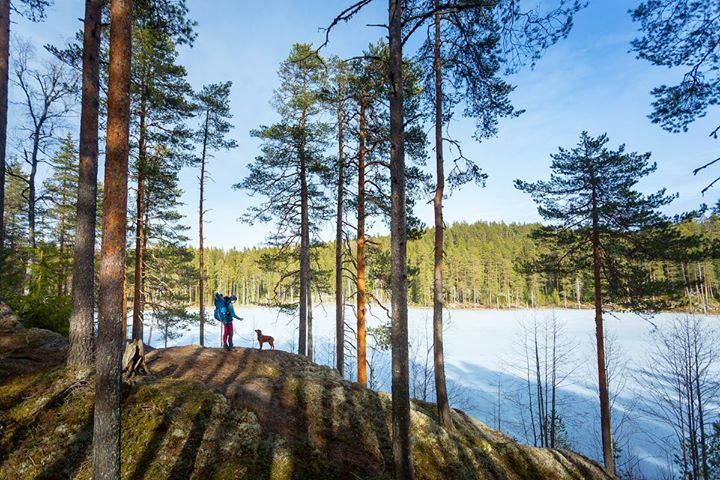 Big trees, big lakes and big skies. What a place. •
•
•
•
•
#hikingwithkids #parentswhowander #childrenofmountains #takeyourkidseverywhere #littletraveler #goadventuretogether #adventuringwithkids #adventurefamily #runwildmychild #yesdeuter #dogsofinstagram #hikingdogsof…