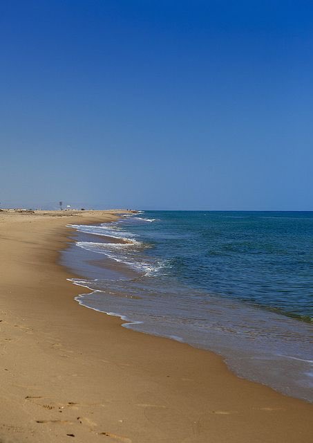 ShowMeTour's tweet image. #Somaliland the home of stunning sunset, incredible beaches and camels.