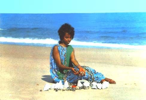 ShowMeTour's tweet image. #Somaliland the home of stunning sunset, incredible beaches and camels.