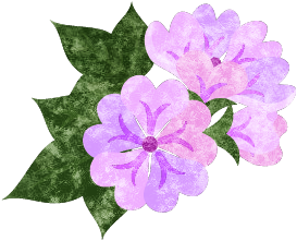 ゼニアオイのtwitterイラスト検索結果 古い順