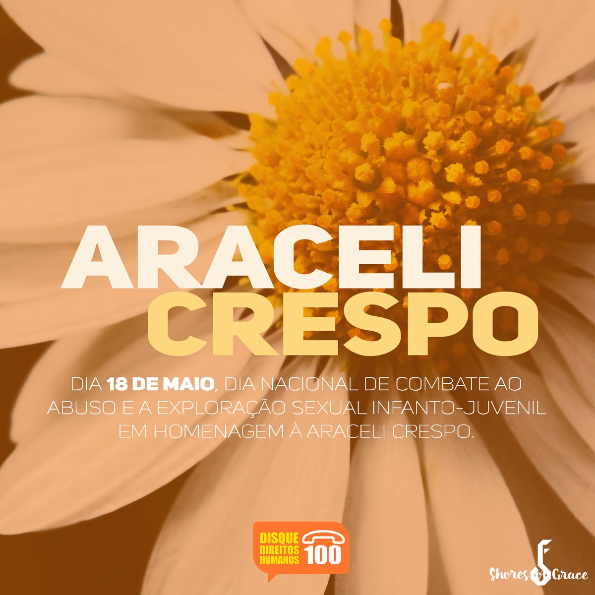 shoresofgrace's tweet image. Araceli Crespo se tornou símbolo do Dia Nacional de Combate ao abuso e exploração sexual infanto-juvenil. No dia 18de Maio de 1973 foi violentada e assassinada. Ela tinha apenas 8 anos.O crime chocou tanto que a data se tornou um símbolo da luta contra essa violação. #maiolaranja