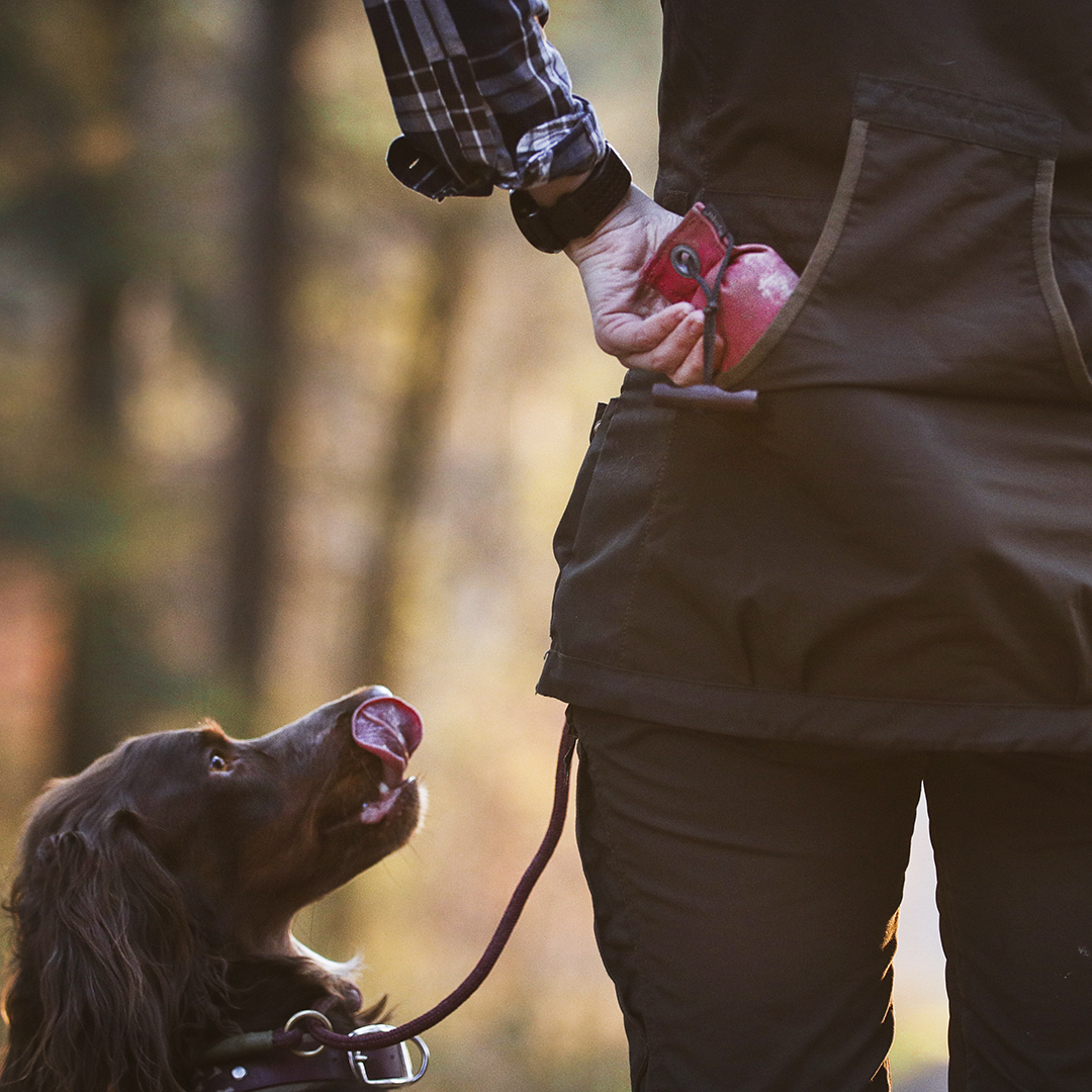 Need a new waistcoat for dog training? Then check out our Lady Ann waistcoat 😍 The Lady Ann waistcoat is designed and created for the lady who loves working and training dogs in the field 🐶
https://t.co/8b3lOR38HM
#Deerhunter #dogtraining #ladiesapparel #waistcoat #dogs https://t.co/F91QJ1dz4H