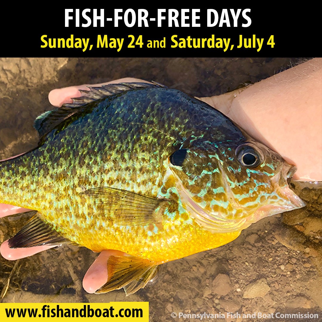 Pennsylvania Fish and Boat Commission on X: Mark Your Calendars: Fish-for-Free  Days allow anyone (resident or non-resident) to legally fish on PA  waterways on the designated days with NO FISHING LICENSE REQUIRED (
