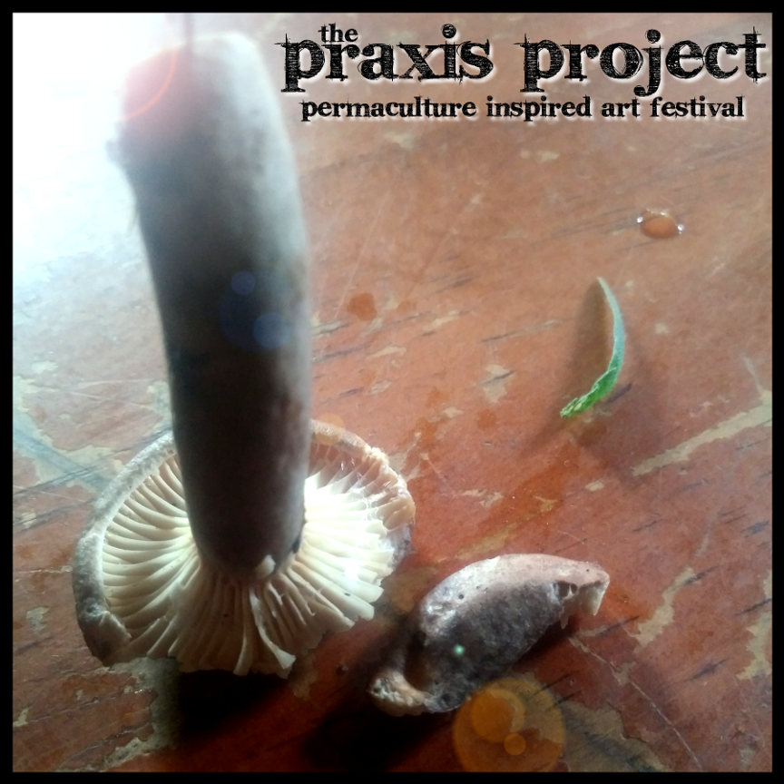 Permaculture Principle: Use &amp; value renewable resources &amp; services. We coppice &amp; clear pathways through the forest, chipping fast-growing trees like alder &amp; poplar. Making forest travel easier, the wood chips are inoculated w mycelium and used in pathways. ow.ly/Ik3K30quLqU