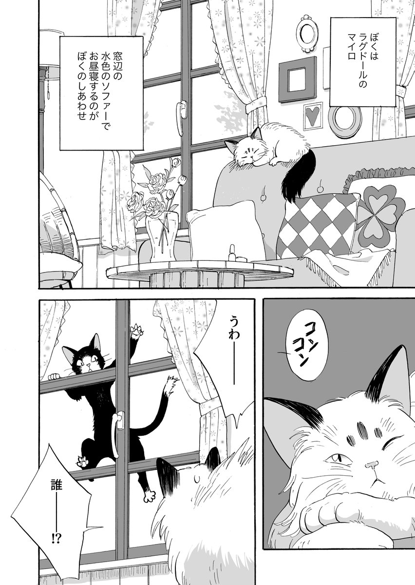 【マイロとクロンヌ】野良猫と飼い猫のマンガ【1話】(1/4) 