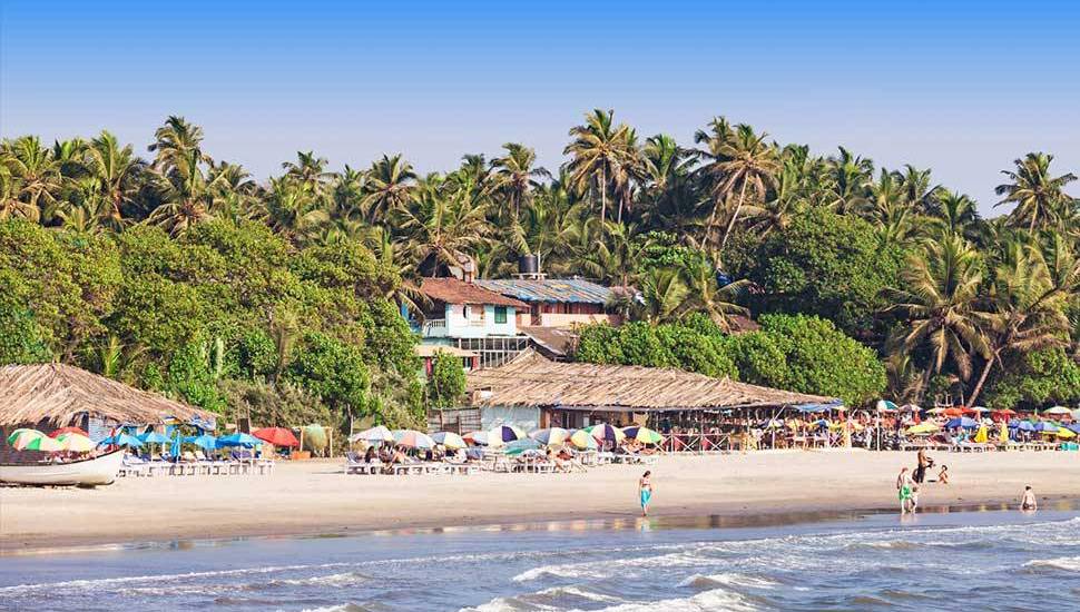 meet_prashantji's tweet photo. Want to enjoy your summer vacation #afterlockdown in #Goa, #India. Here are the best 10 Tourist Places 

➡️ https://t.co/sNJlOz3tG5 ⬅️

#Travel #travelblog #travelphotography #Bloggers #PrashantPandit #PrashantjiServices #PhotoOfTheDay #holiday #vacations #photography #COVID19 https://t.co/9Ttenoo2se