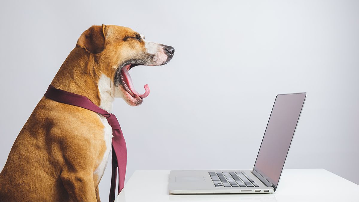 Chandra Kanojia (@chandrakkanojia) on Twitter photo Arrest the motivation erosion in your employees by allowing them to experiment. Experimentation has shown to increase employee motivation by 45-points. <a href="/mcgregorle/">Lindsay McGregor</a> <a href="/neelvf/">Neel Doshi</a>
#motivation #remotework
buff.ly/3c5Rg4Y? Arrest the motivation erosion in your employees by allowing them to experiment. Experimentation has shown to increase employee motivation by 45-points. <a href="/mcgregorle/">Lindsay McGregor</a> <a href="/neelvf/">Neel Doshi</a>
#motivation #remotework
buff.ly/3c5Rg4Y?