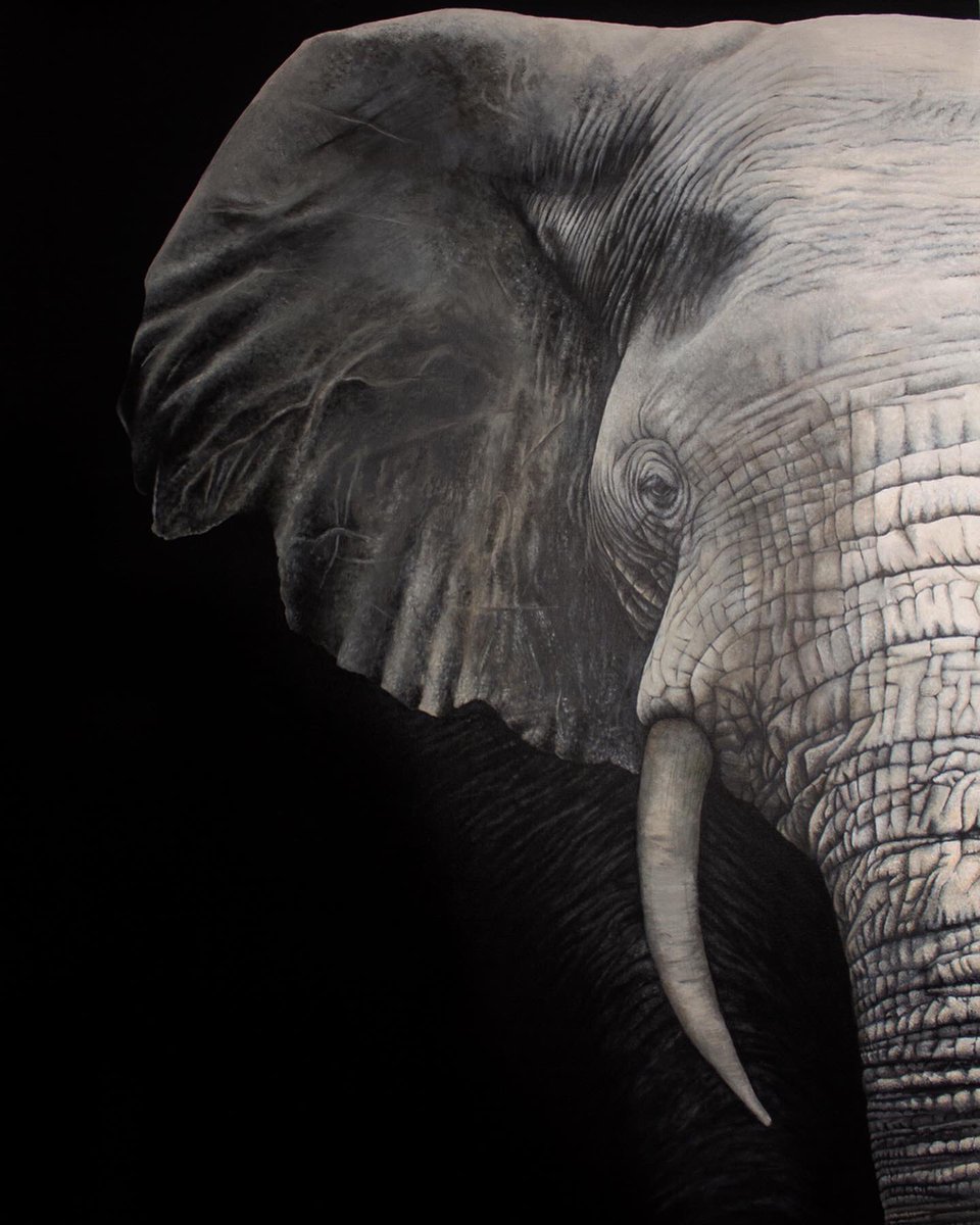sophiegreenart's tweet photo. Today this guy started his journey across the Atlantic to his new home! I’m filled with excitement and nerves and even though I’m smiling, I am a little sad to say goodbye! BUT this does mean one thing - I will shortly be getting started on my next piece! Guess what it is! 😁 https://t.co/7HunGOhtwJ