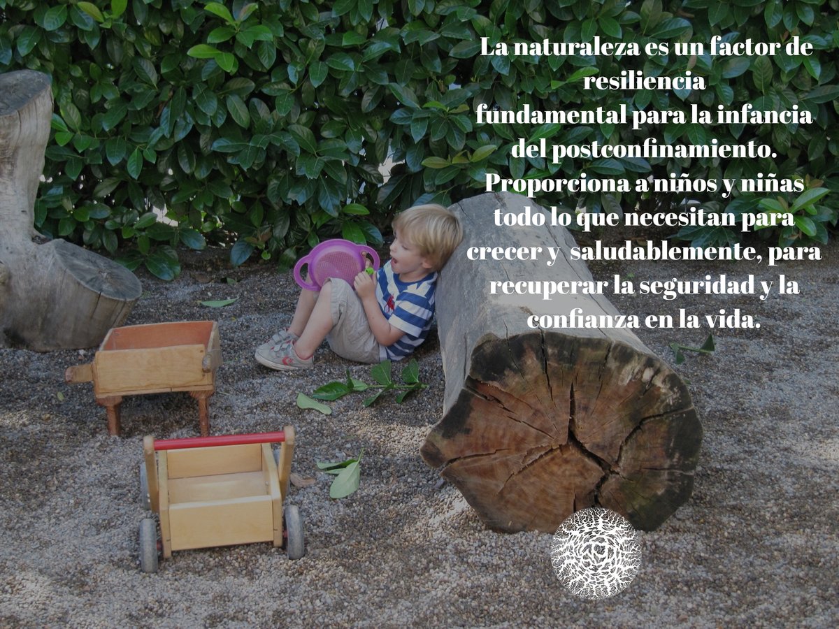 El contacto con la naturaleza es esencial para una educación que ponga la confianza en la vida en el centro. Esta es la base de la #PedagogíaVerde y de la formación online a la que aún puedes apuntarte. ¡Te esperamos! #CoronaInfancias #PorAmorALaInfancia heikefreire.com/cinco-pilares-…
