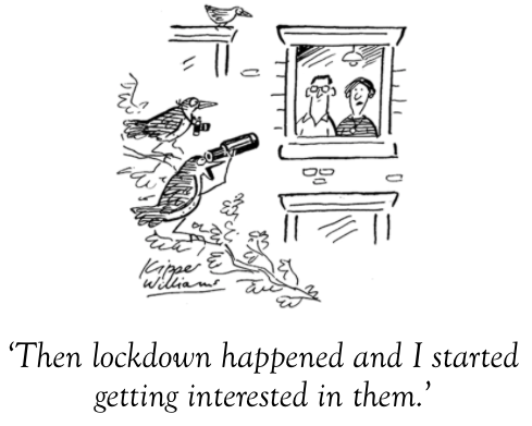 LisaAnnJewell's tweet photo. Cartoon from @Spectator’s daily Covid-19 update. Sign up for free: https://t.co/qUKFyUlUBC https://t.co/Mw6Cjr5UP3