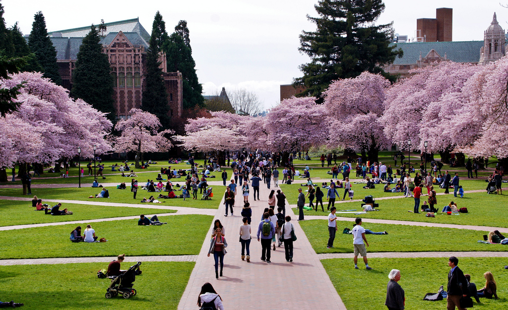 Noodle Partners will help <a href="/UW/">University of Washington</a>'s iSchool bring its top-rated Master of Science in Information Management program online by spring 2021. This marks UW’s first OPM partnership on campus. Learn more: bit.ly/2WEqXxS #onlineeducation #highered