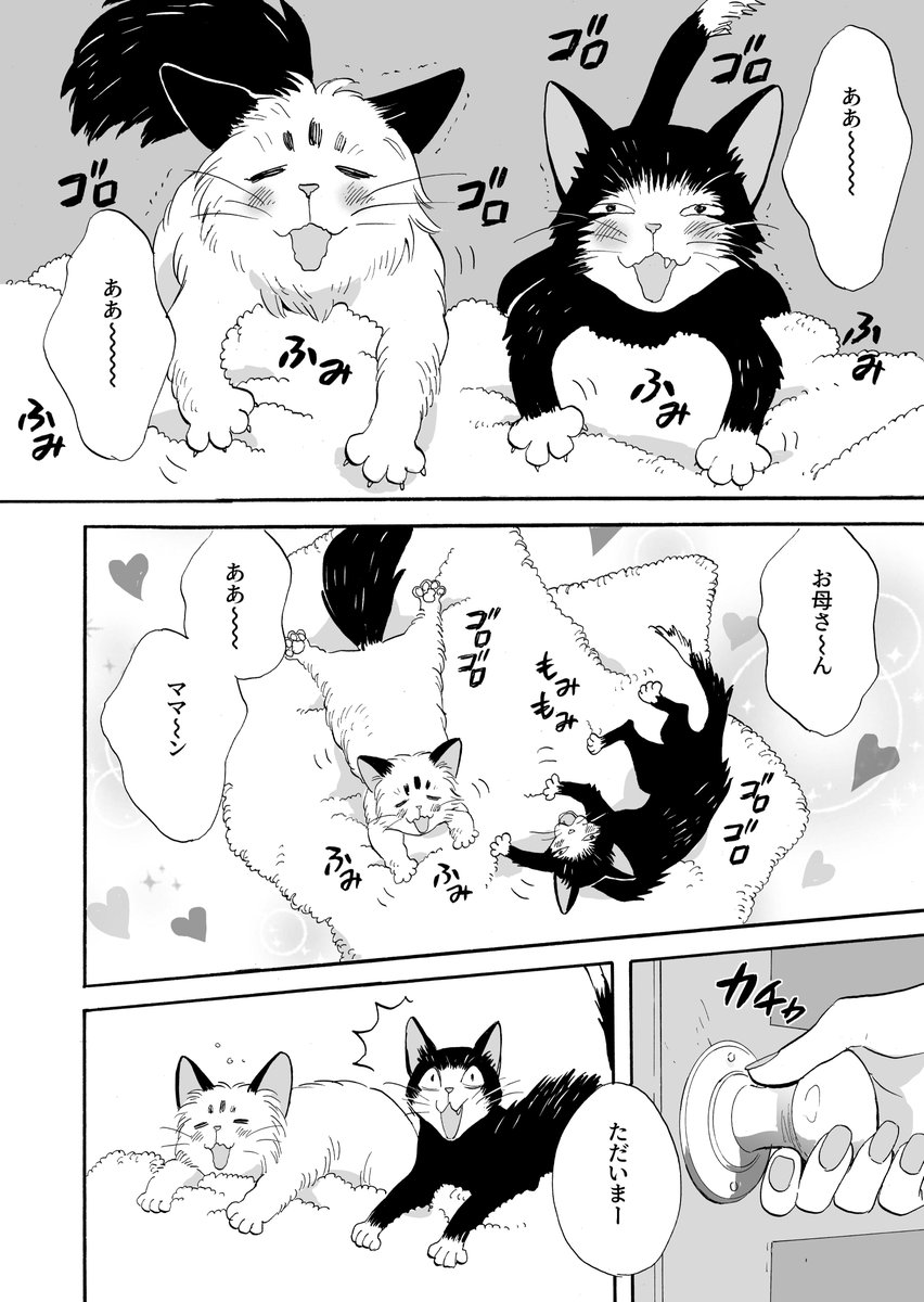 【マイロとクロンヌ】野良猫と飼い猫のマンガ【1話】(3/4) 