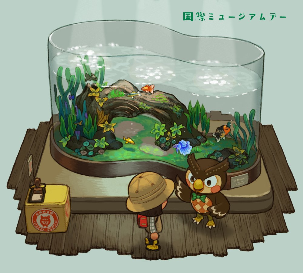 hat bird pokemon (creature) fish water 1boy brown headwear  illustration images